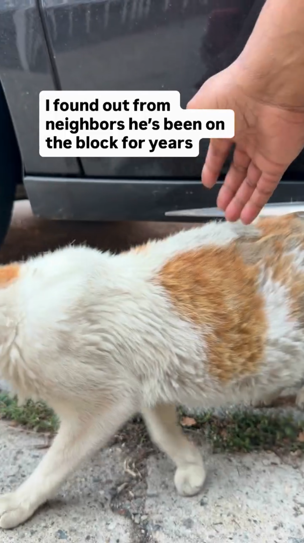 I found out from neighbors he's been on the block for years
