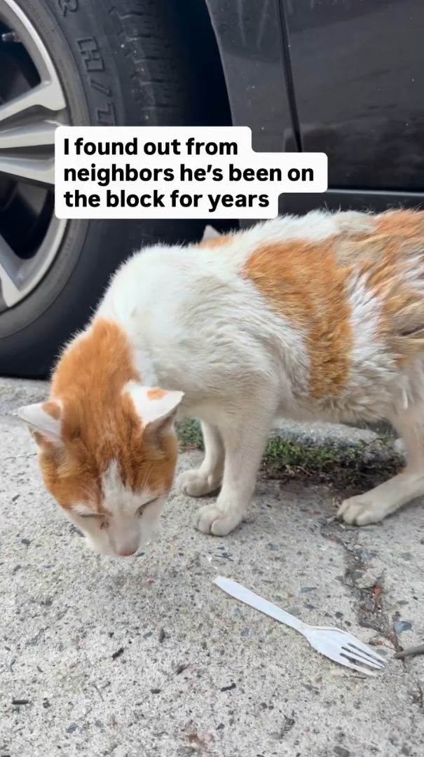 RHIT I found out from neighbors he's been on the block for years