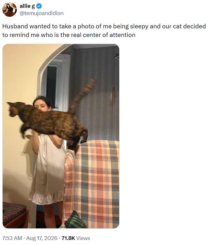 allie g⭑ @temujoandidion Husband wanted to take a photo of me being sleepy and our cat decided to remind me who is the real center of attention . 7:53 AM • Aug 17, 2026 - 71.8K Views