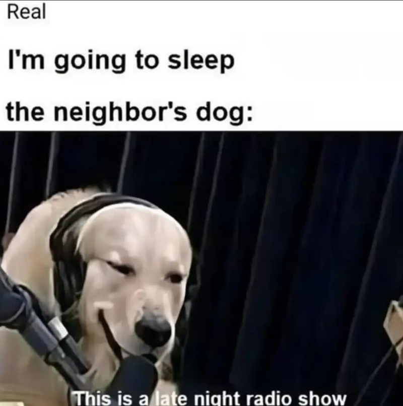 Real I'm going to sleep the neighbor's dog: This is a late night radio show