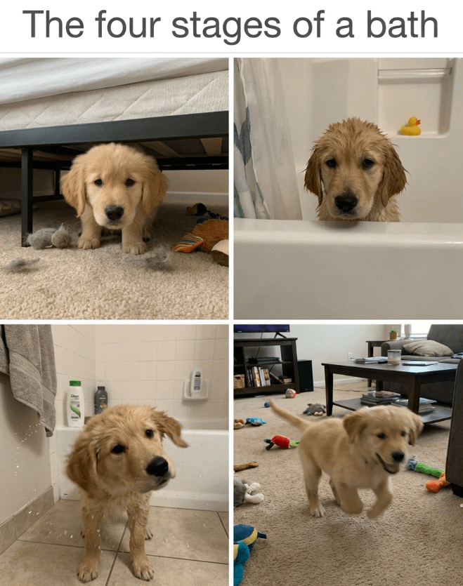 The four stages of a bath