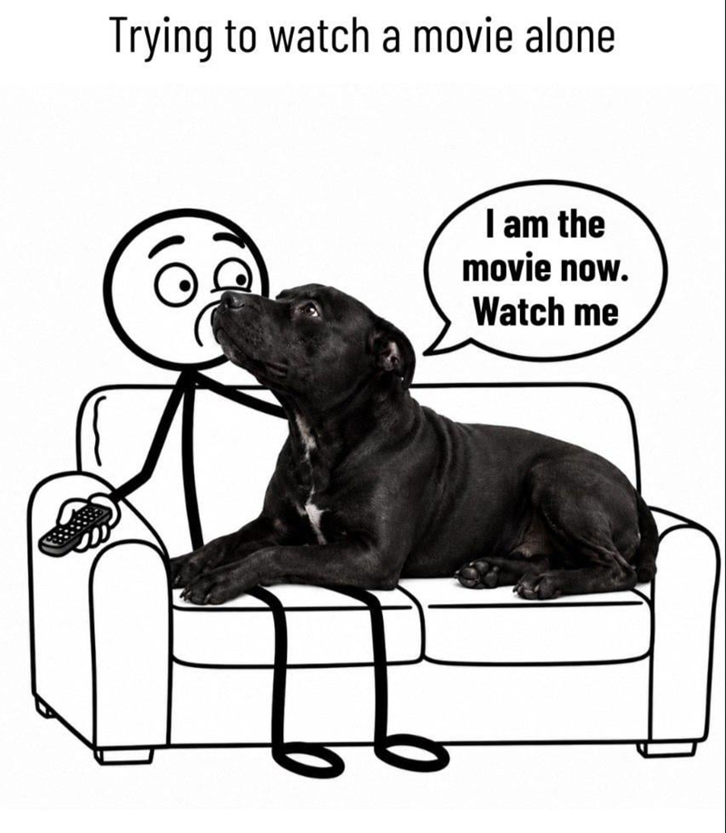 Trying to watch a movie alone I am the movie now. Watch me