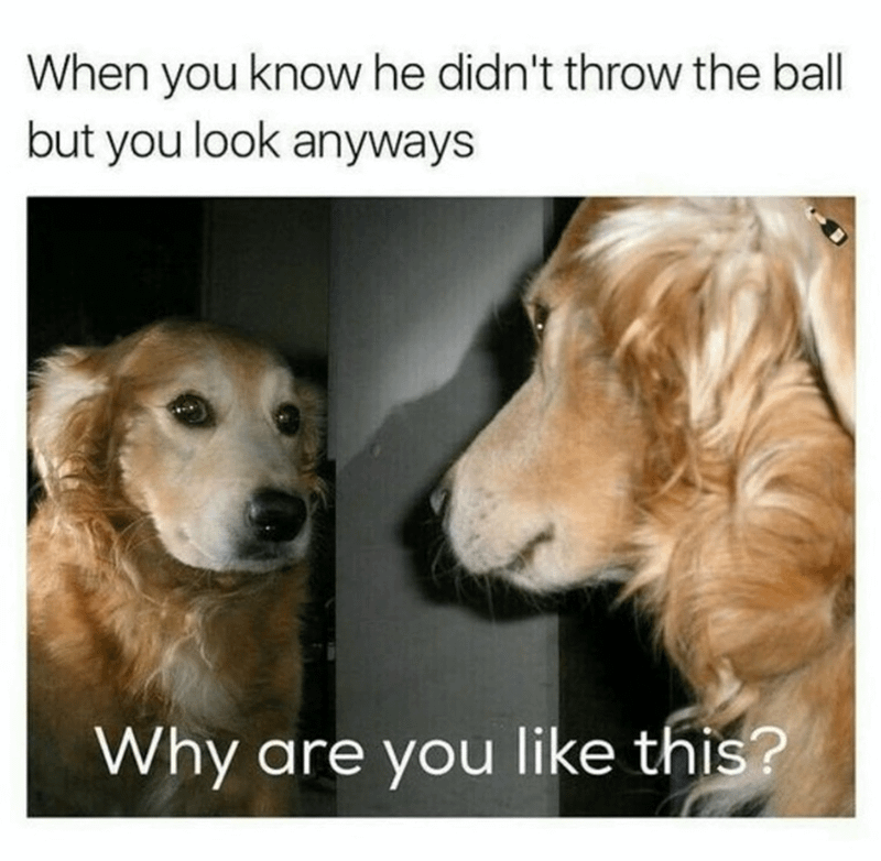 When you know he didn't throw the ball but you look anyways Why are you like this?