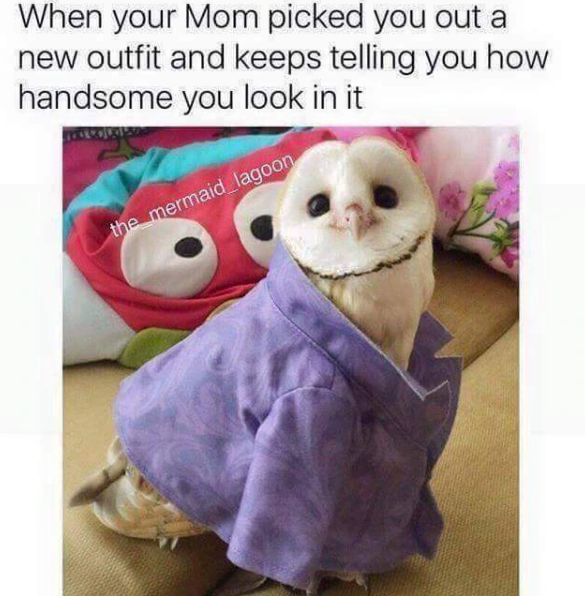 When your Mom picked you out a new outfit and keeps telling you how handsome you look in it the mermaid lagoon