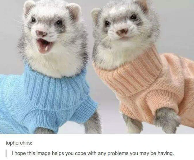 topherchris: I hope this image helps you cope with any problems you may be having.