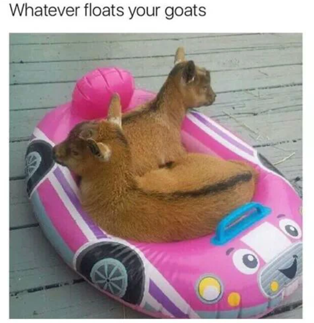 Whatever floats your goats