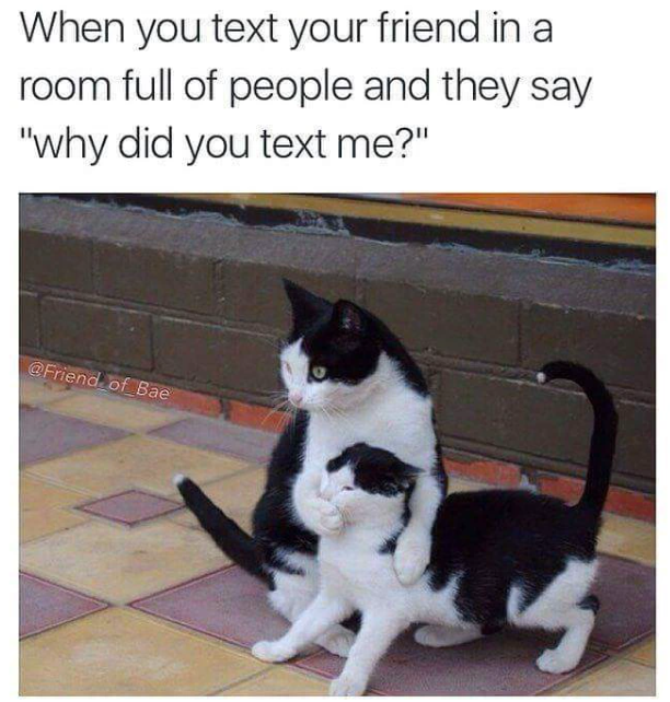 When you text your friend in a room full of people and they say "why did you text me?" @Friend of Bae