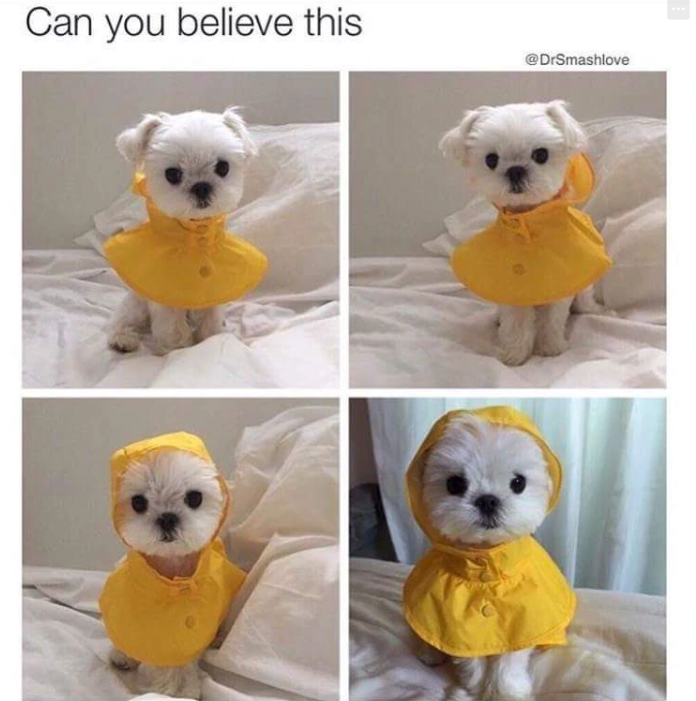 Can you believe this @DrSmashlove