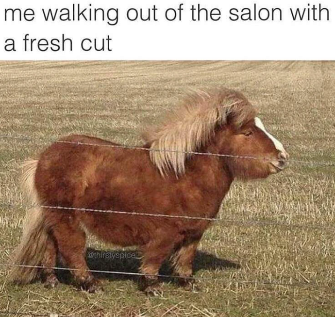 me walking out of the salon with a fresh cut @thirstyspice
