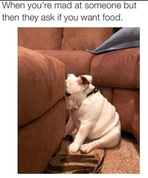 When you're mad at someone but then they ask if you want food.