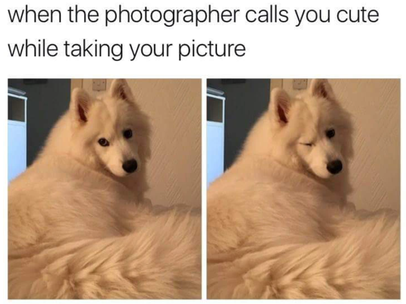 when the photographer calls you cute while taking your picture