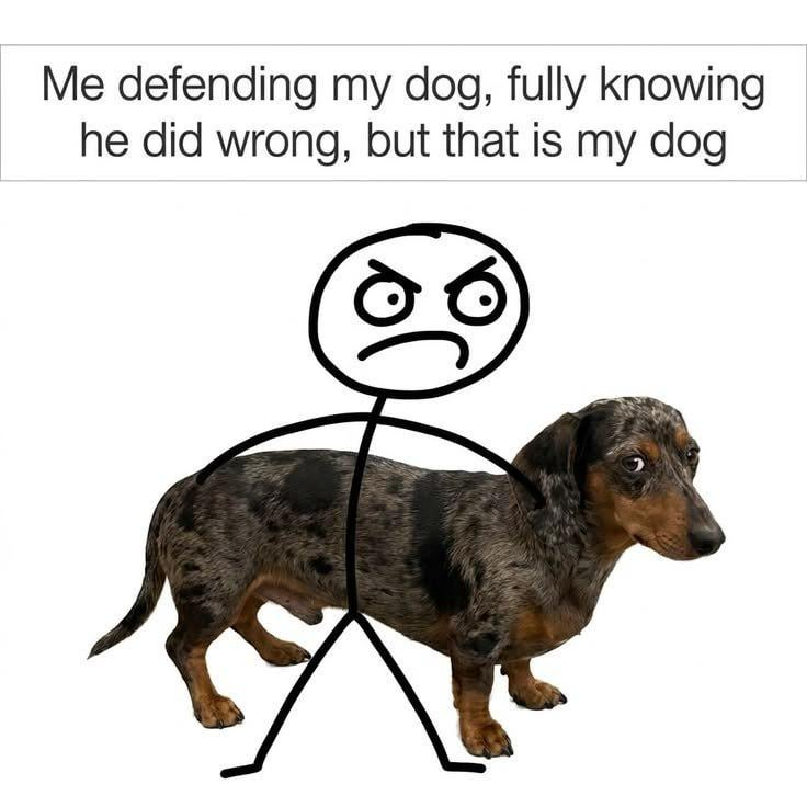 Me defending my dog, fully knowing he did wrong, but that is my dog