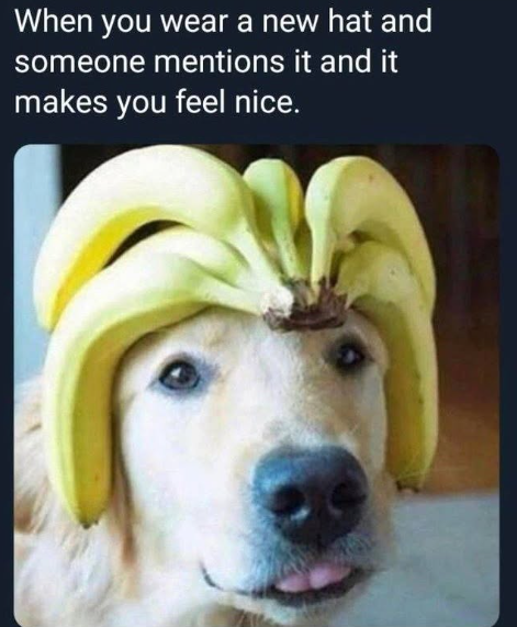 When you wear a new hat and someone mentions it and it makes you feel nice.