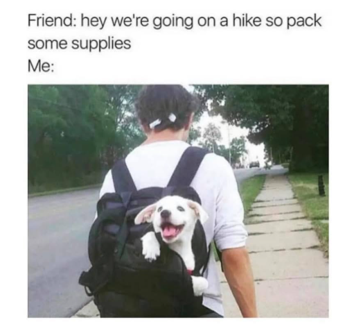 Friend: hey we're going on a hike so pack some supplies Me: