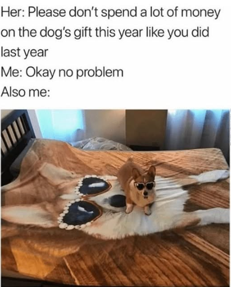 Her: Please don't spend a lot of money on the dog's gift this year like you did last year Me: Okay no problem Also me: