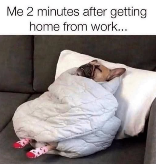 Me 2 minutes after getting home from work...