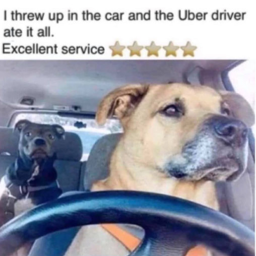 I threw up in the car and the Uber driver ate it all. Excellent service
