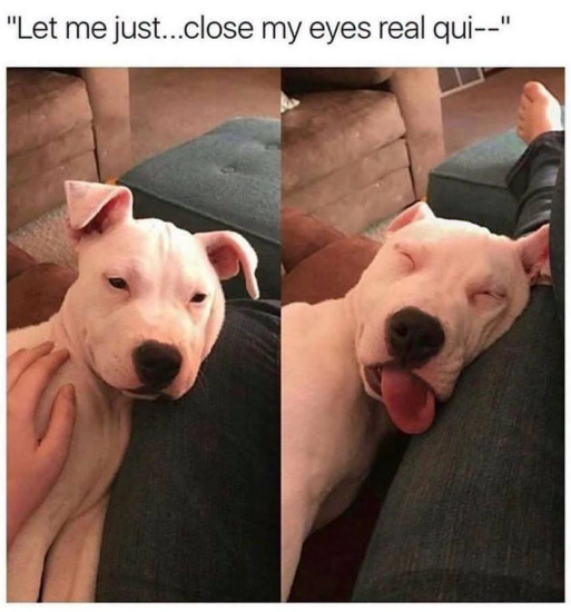 "Let me just...close my eyes real qui--"