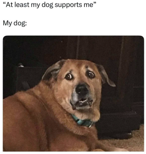 "At least my dog supports me" My dog: