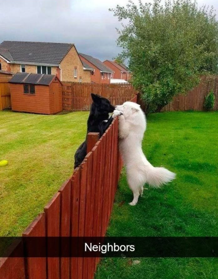 Neighbors