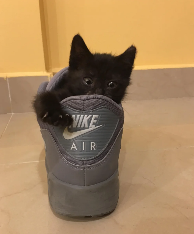 NIKE AIR