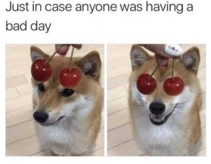 Just in case anyone was having a bad day