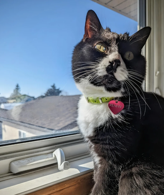PENNY