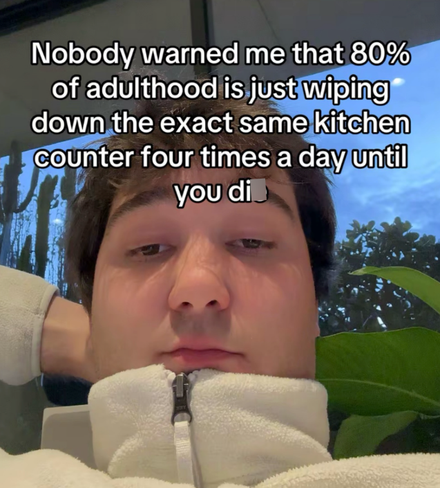 Nobody warned me that 80% of adulthood is just wiping down the exact same kitchen Counter four times a day until you di