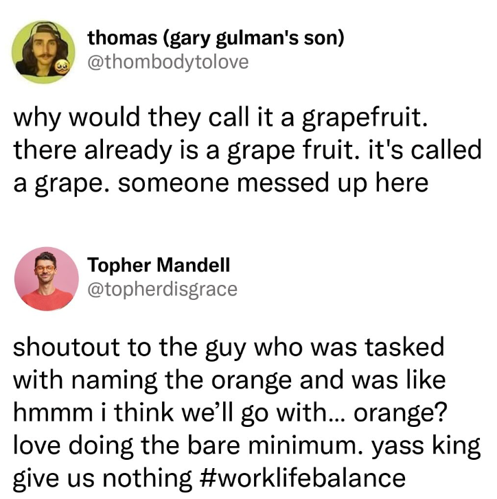 thomas (gary gulman's son) @thombodytolove why would they call it a grapefruit. there already is a grape fruit. it's called a grape. someone messed up here Topher Mandell @topherdisgrace shoutout to the guy who was tasked with naming the orange and was like hmmm i think we'll go with... orange? love doing the bare minimum. yass king give us nothing #worklife balance