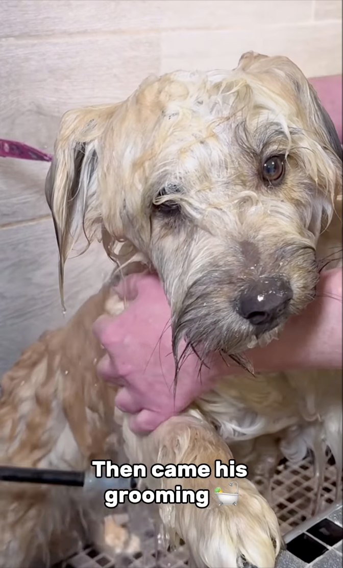 Then came his grooming