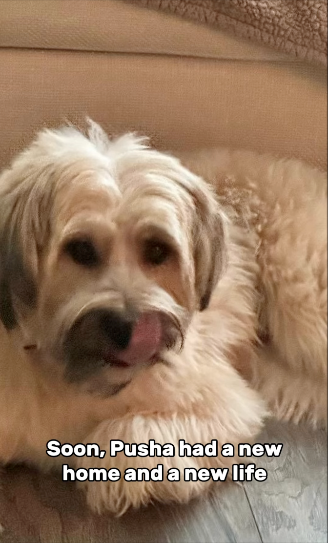 Soon, Pusha had a new home and a new life