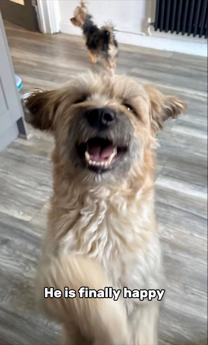 He is finally happy