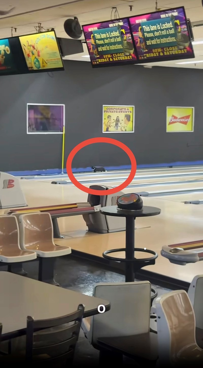 B DAN RE O This lane is Locked. Please, don't roll a ball and wait for instructions 9PM-CLOSE STFRIDAY & SATURDAY This lane is Locked. Please, don't roll a ball and wait for instructions. 9PM-CLOSE ATFRIDAY & SATURDAY CORPORATE & PRIVATE EVENTS Budweise