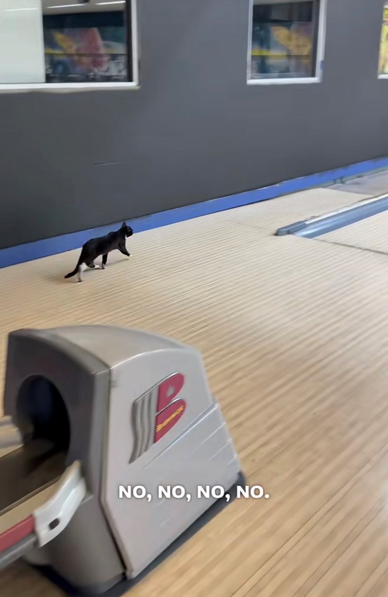 B NO, NO, NO, NO.