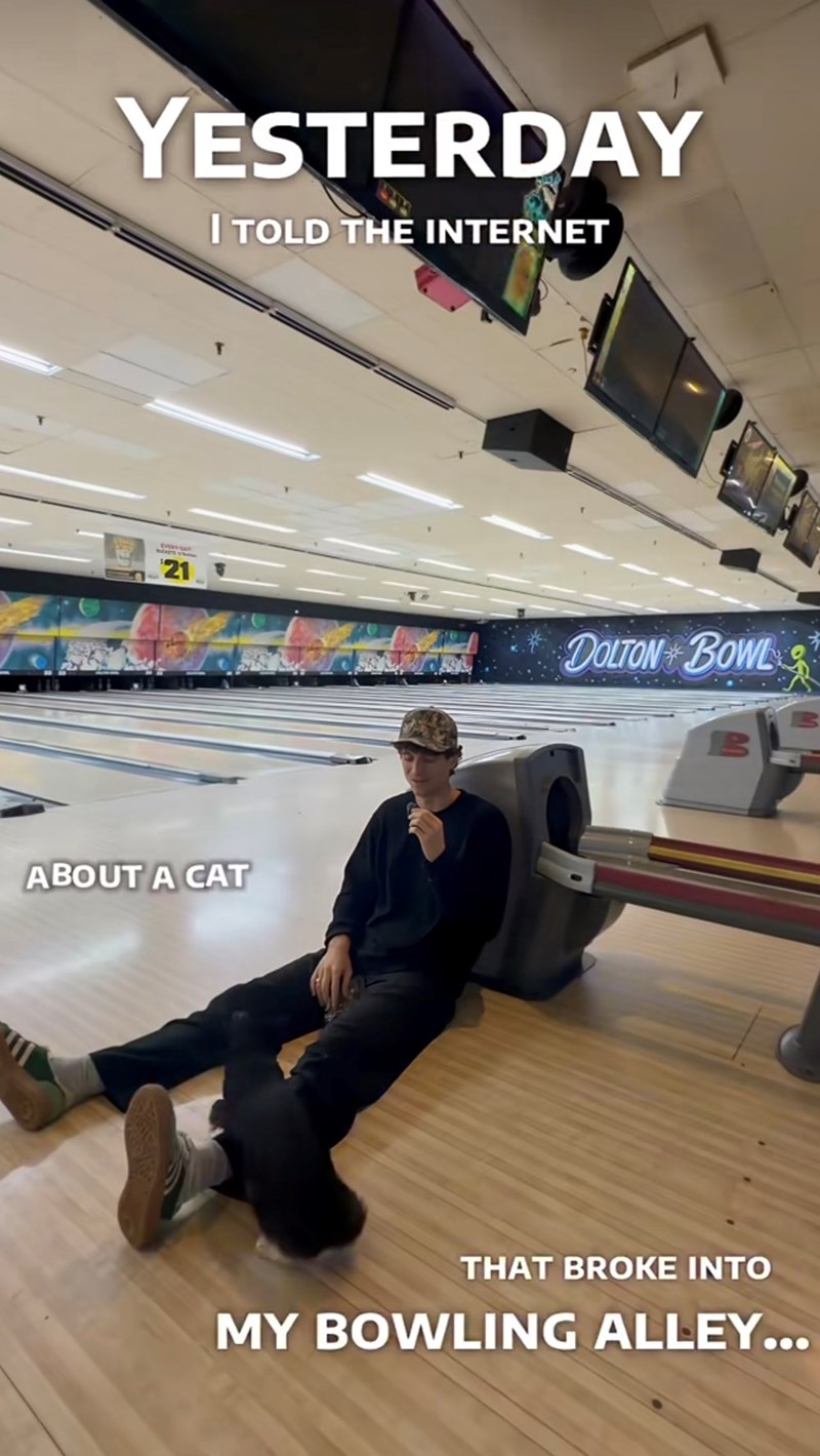 YESTERDAY I TOLD THE INTERNET 21 DOLTON BOWL B ABOUT A CAT THAT BROKE INTO MY BOWLING ALLEY...