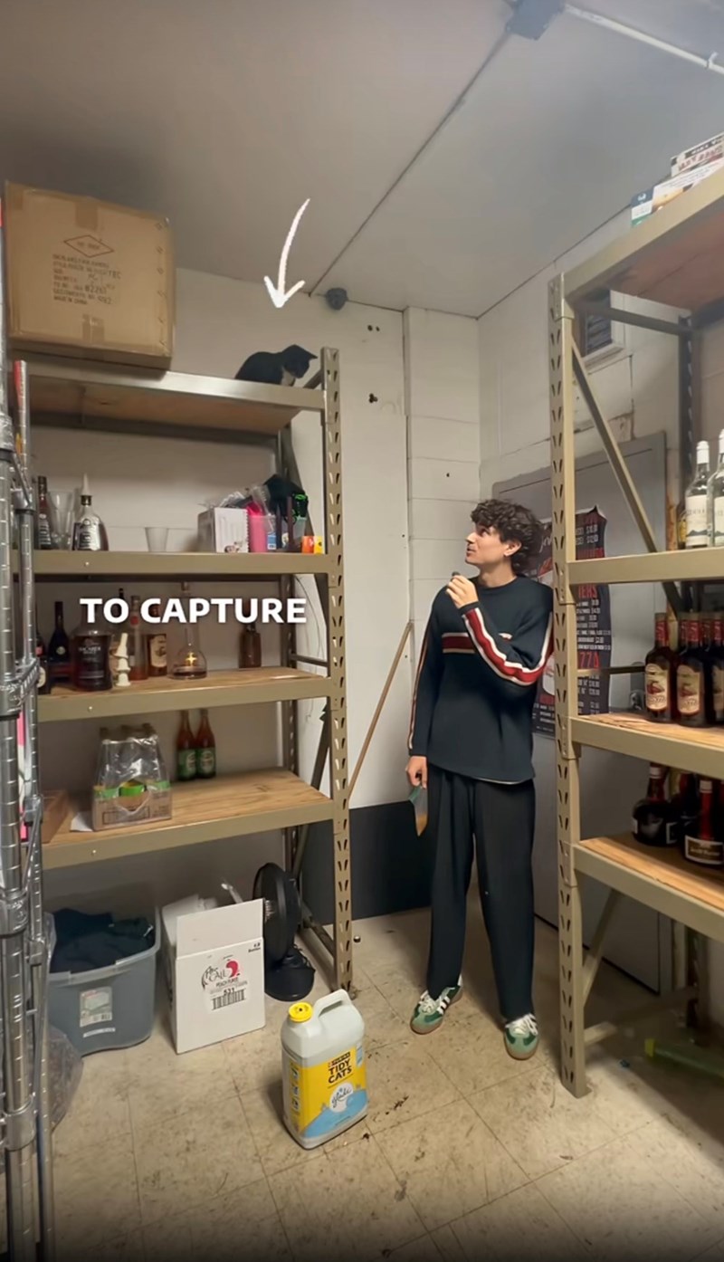 8226 992 TO CAPTURE TIDY CAT