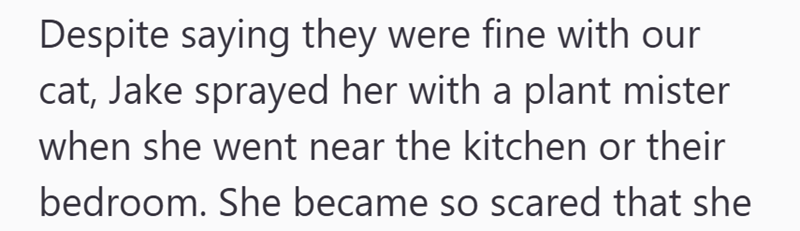 Despite saying they were fine with our cat, Jake sprayed her with a plant mister when she went near the kitchen or their bedroom. She became so scared that she