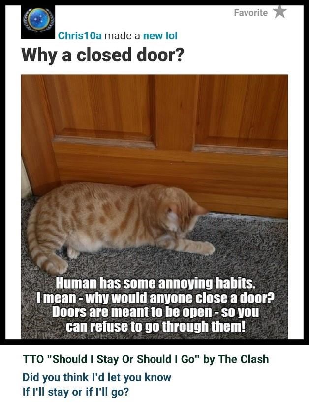 Chris10a made a new lol Why a closed door? Favorite Human has some annoying habits. I mean-why would anyone close a door? Doors are meant to be open - so you can refuse to go through them! TTO "Should I Stay Or Should I Go" by The Clash Did you think I'd let you know If I'll stay or if I'll go?