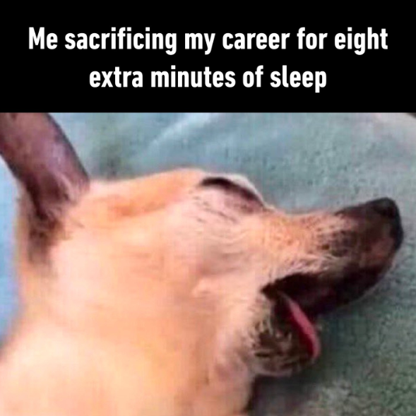 Me sacrificing my career for eight extra minutes of sleep