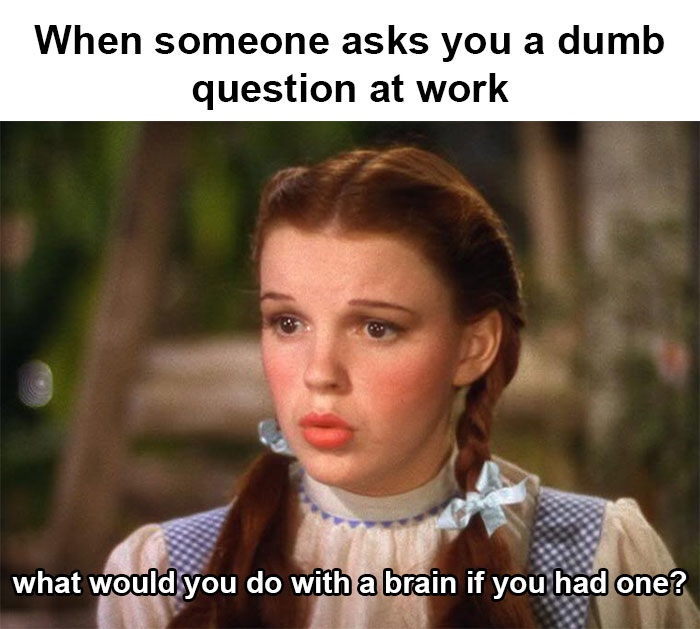 When someone asks you a dumb question at work what would you do with a brain if you had one?