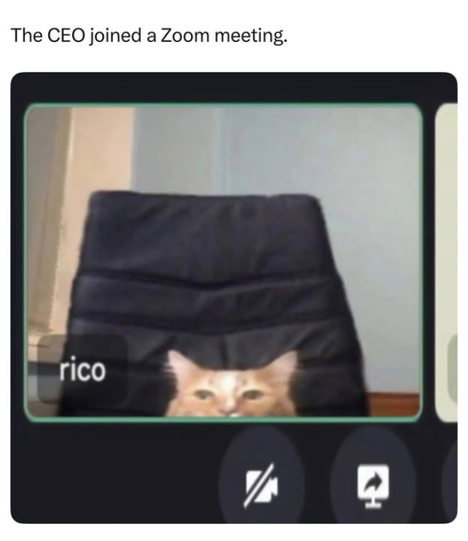 The CEO joined a Zoom meeting. rico