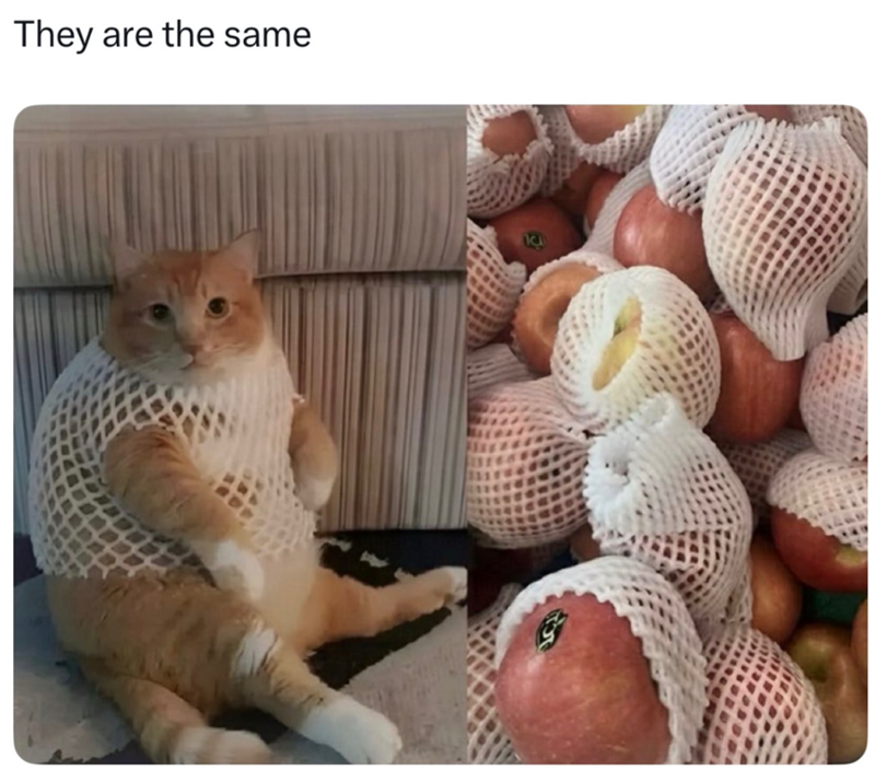 They are the same