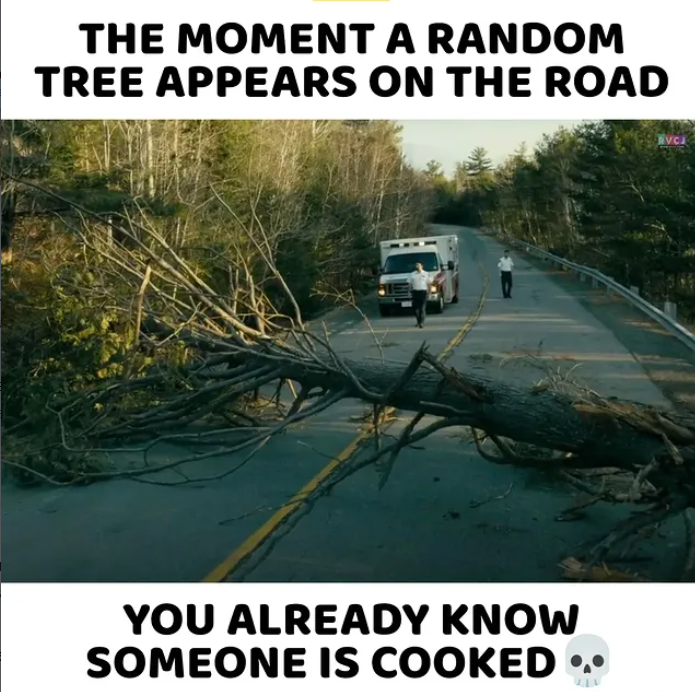 THE MOMENT A RANDOM TREE APPEARS ON THE ROAD YOU ALREADY KNOW SOMEONE IS COOKED
