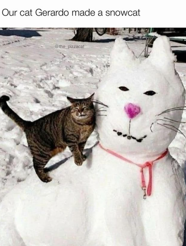 Our cat Gerardo made a snowcat @the_pizzacat