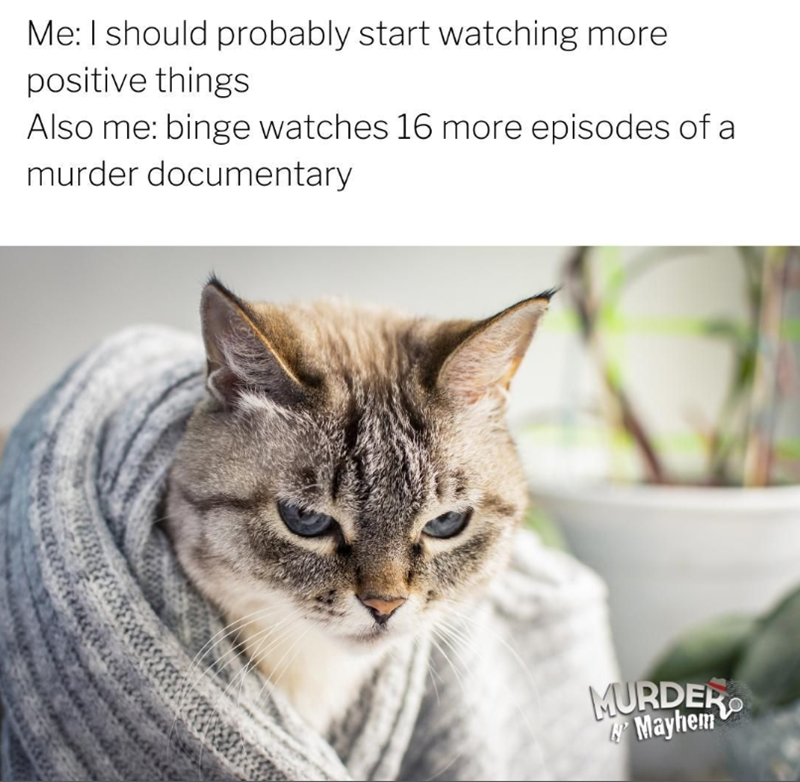 Me: I should probably start watching more positive things Also me: binge watches 16 more episodes of a murder documentary MURDER Mayhem