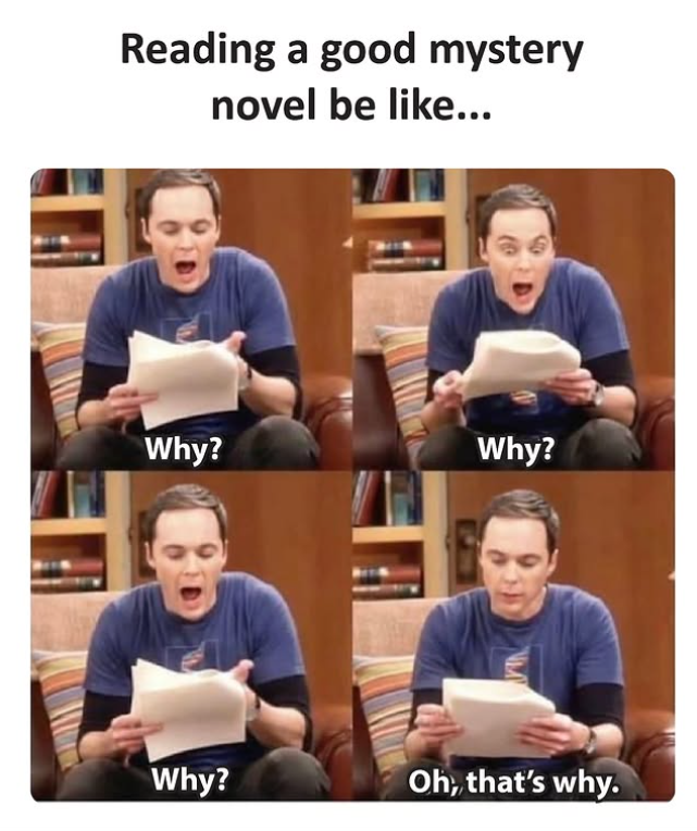 Reading a good mystery novel be like... Why? Why? Why? Oh, that's why.