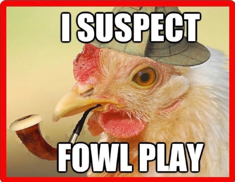 I SUSPECT FOWL PLAY
