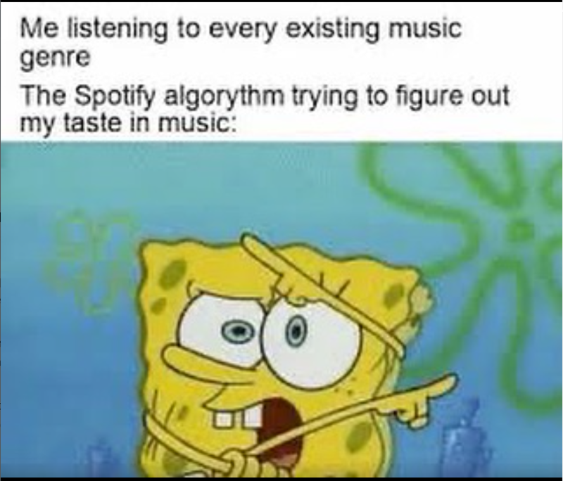 Me listening to every existing music genre The Spotify algorythm trying to figure out my taste in music:
