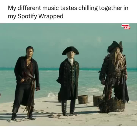 My different music tastes chilling together in my Spotify Wrapped MEME ZAR