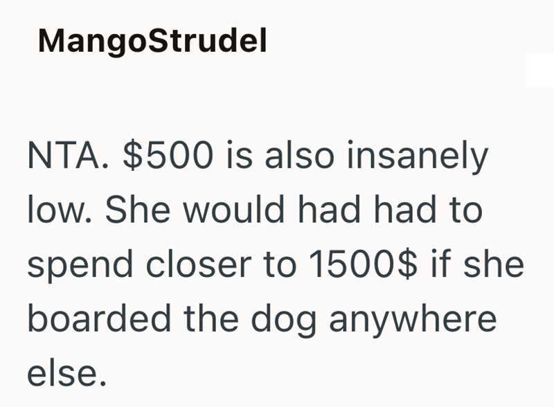 MangoStrudel NTA. $500 is also insanely low. She would had had to spend closer to 1500$ if she boarded the dog anywhere else.